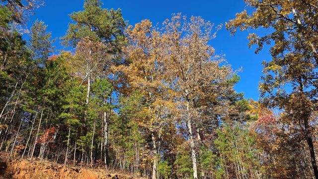 62 Green Cove Spur, Murphy, NC 28906