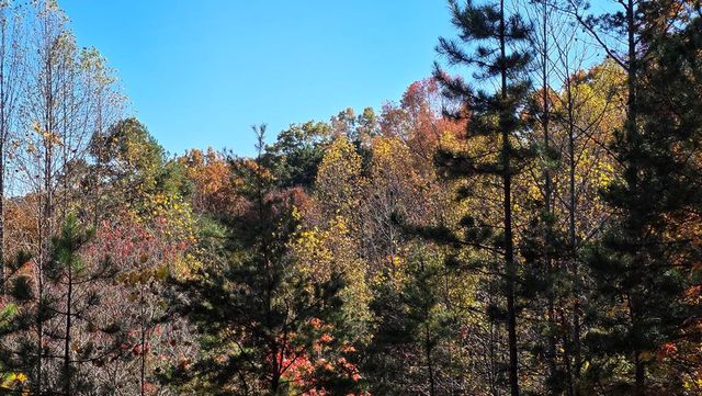 62 Green Cove Spur, Murphy, NC 28906
