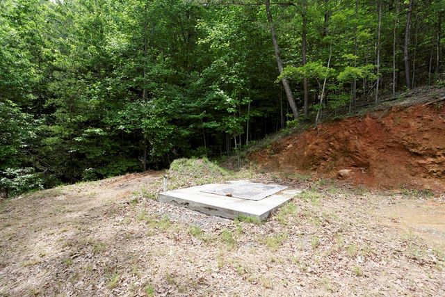 62 Green Cove Spur, Murphy, NC 28906