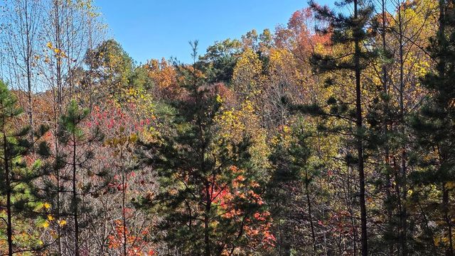 62 Green Cove Spur, Murphy, NC 28906