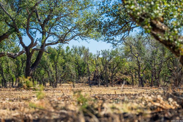 0000 Keese Road, Fredericksburg, TX 78624