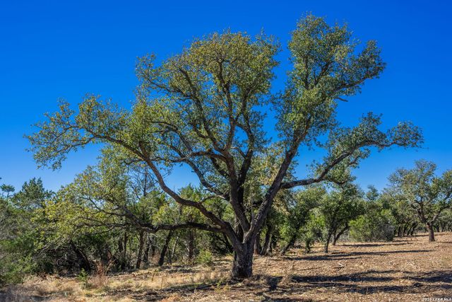 0000 Keese Road, Fredericksburg, TX 78624