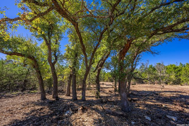 0000 Keese Road, Fredericksburg, TX 78624