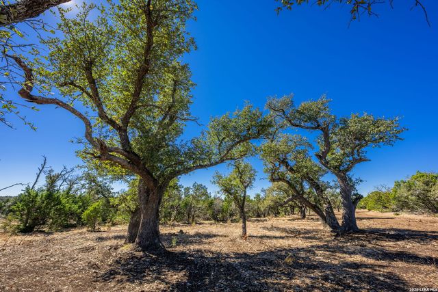 0000 Keese Road, Fredericksburg, TX 78624