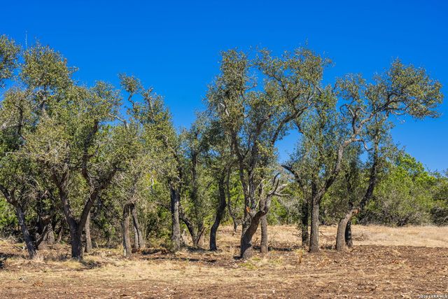 0000 Keese Road, Fredericksburg, TX 78624