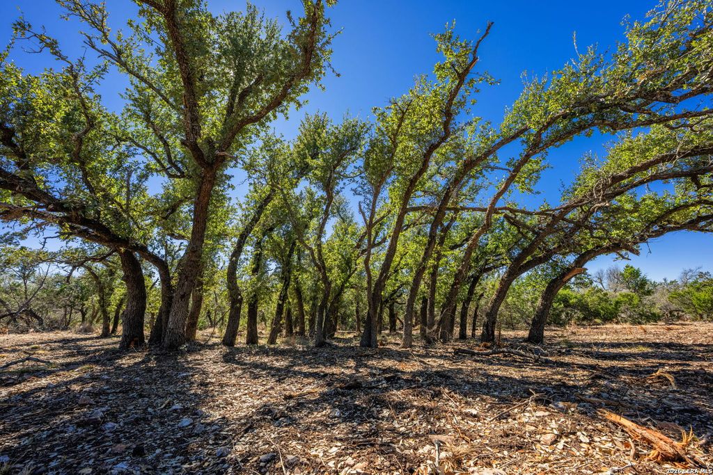 0000 Keese Road, Fredericksburg, TX 78624