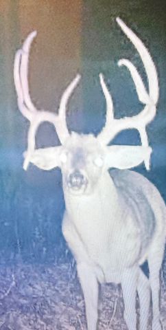 0 Badger Lane, Carthage, TN 37030