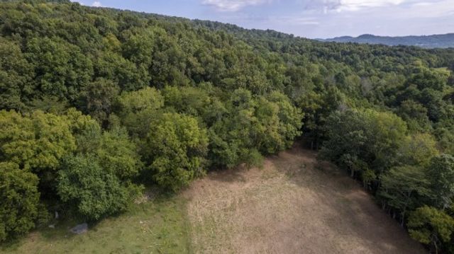 0 Badger Lane, Carthage, TN 37030