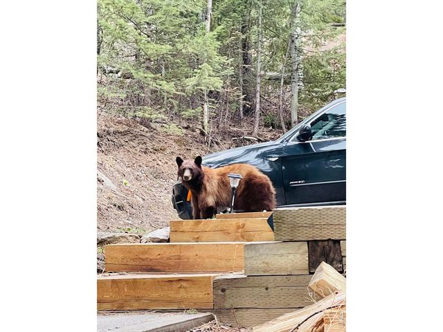0 Hemlock Dr, Lyons, CO 80540