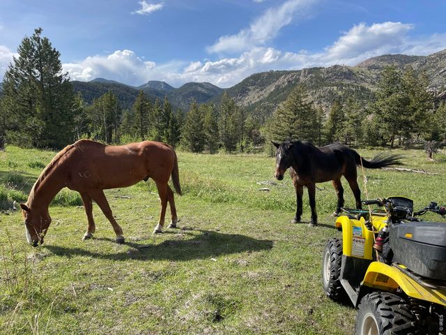 0 Hemlock Dr, Lyons, CO 80540