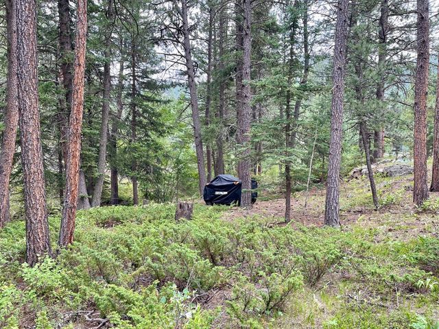 0 Hemlock Dr, Lyons, CO 80540