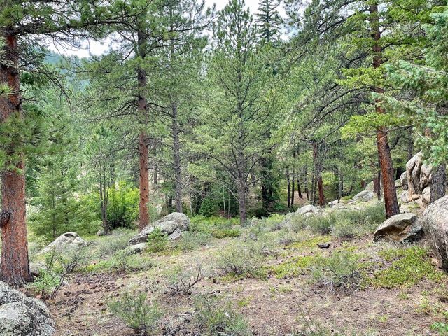 0 Hemlock Dr, Lyons, CO 80540