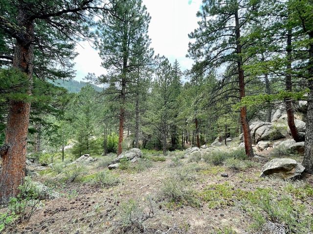 0 Hemlock Dr, Lyons, CO 80540