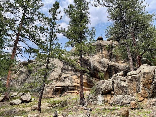 0 Hemlock Dr, Lyons, CO 80540