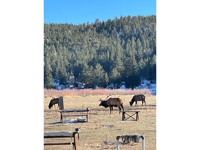 0 Hemlock Dr, Lyons, CO 80540