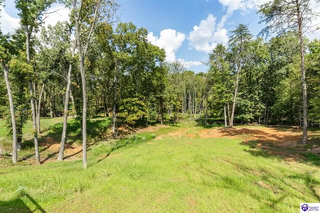 1007 Burns Road, Vine Grove, KY 40175