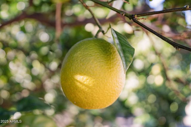 821 LEISURE WORLD --, Mesa, AZ 85206