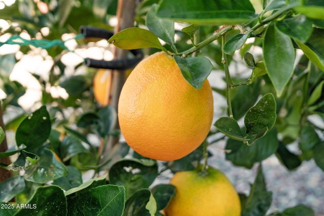 821 LEISURE WORLD --, Mesa, AZ 85206