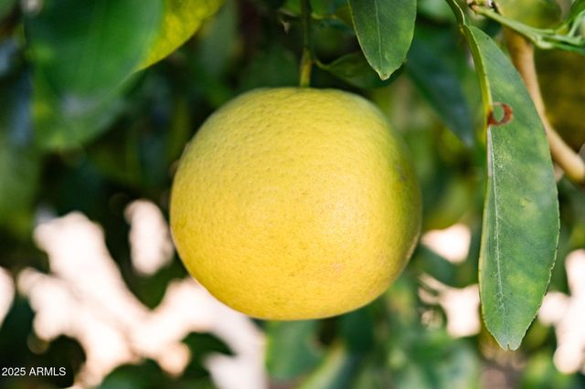 821 LEISURE WORLD --, Mesa, AZ 85206