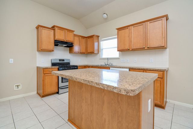 4310 S Vineyard Mdw Lane, Katy, TX 77449