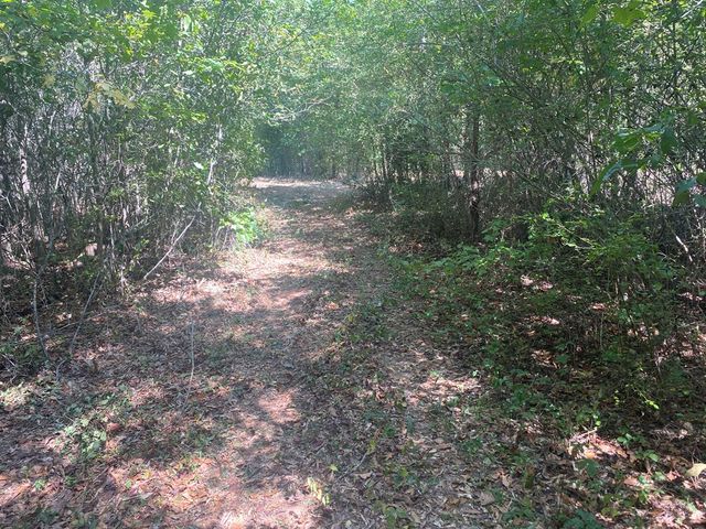 299 South L Street, Pine Mountain Valley, GA 31823