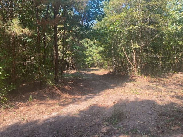 299 South L Street, Pine Mountain Valley, GA 31823