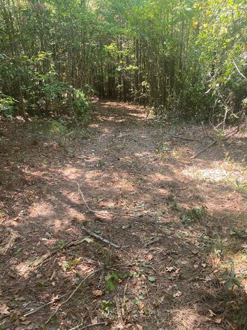 299 South L Street, Pine Mountain Valley, GA 31823