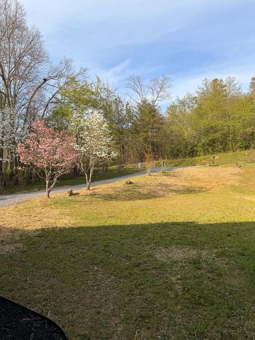 4333 Ada Street, Blue Ridge, GA 30513