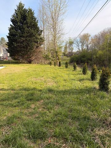 4333 Ada Street, Blue Ridge, GA 30513