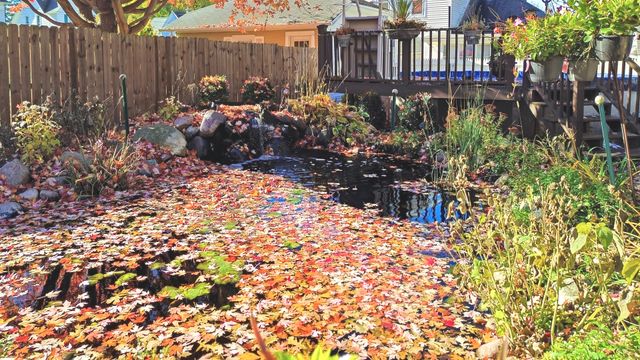 507 N Hennepin Avenue, Dixon, IL 61021