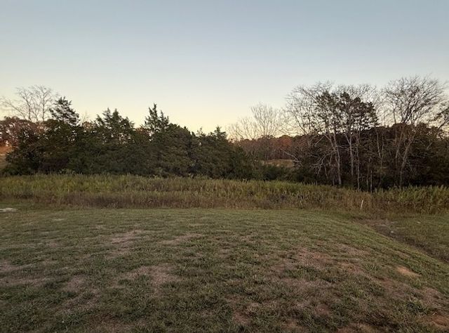 106 Emeline Way, Mount Juliet, TN 37122