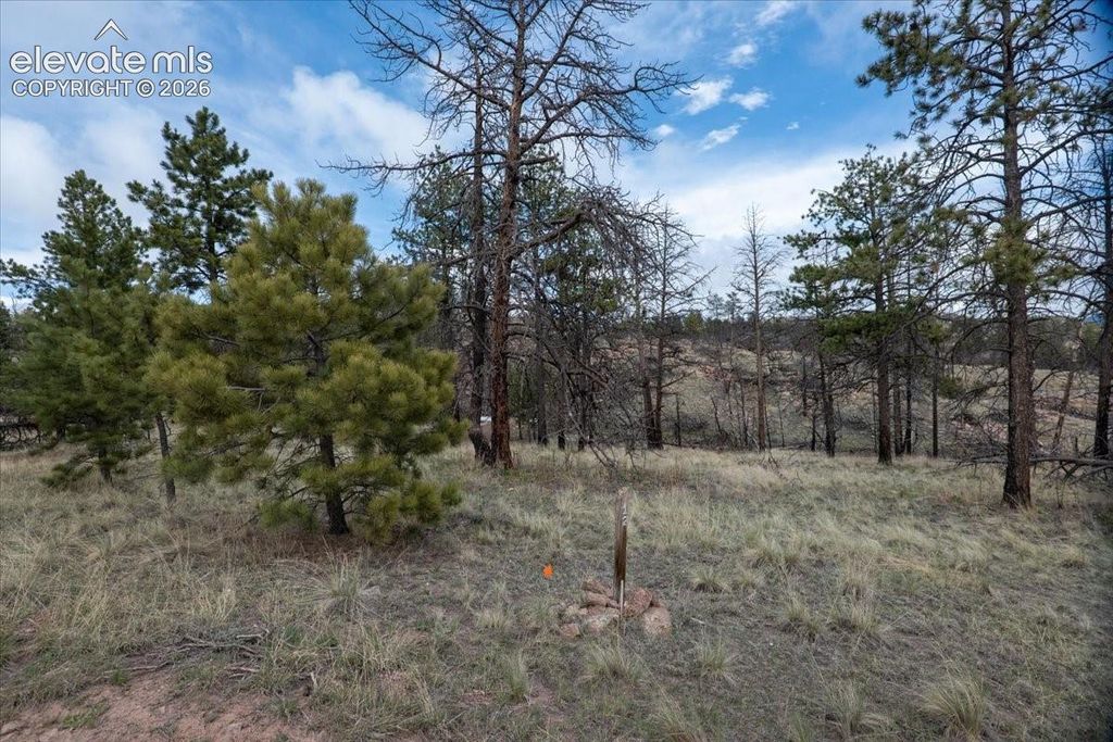 144 Chapparal Trail, Florissant, CO 80816 — exterior