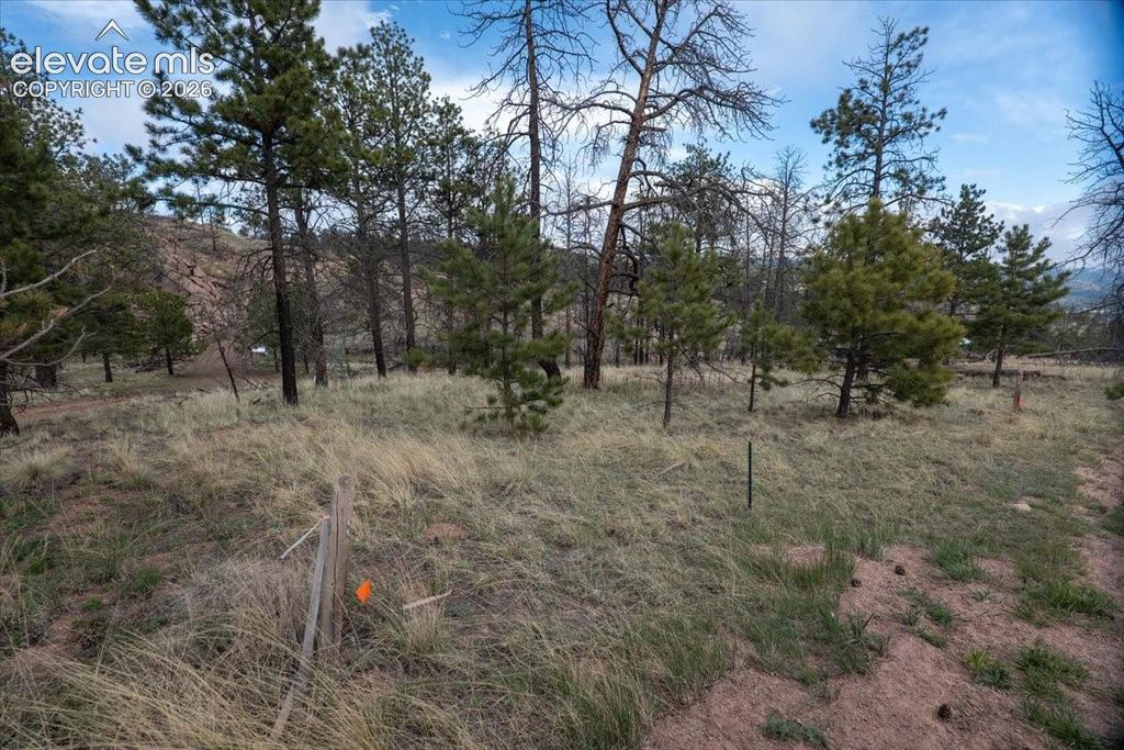 144 Chapparal Trail, Florissant, CO 80816 — photo 2