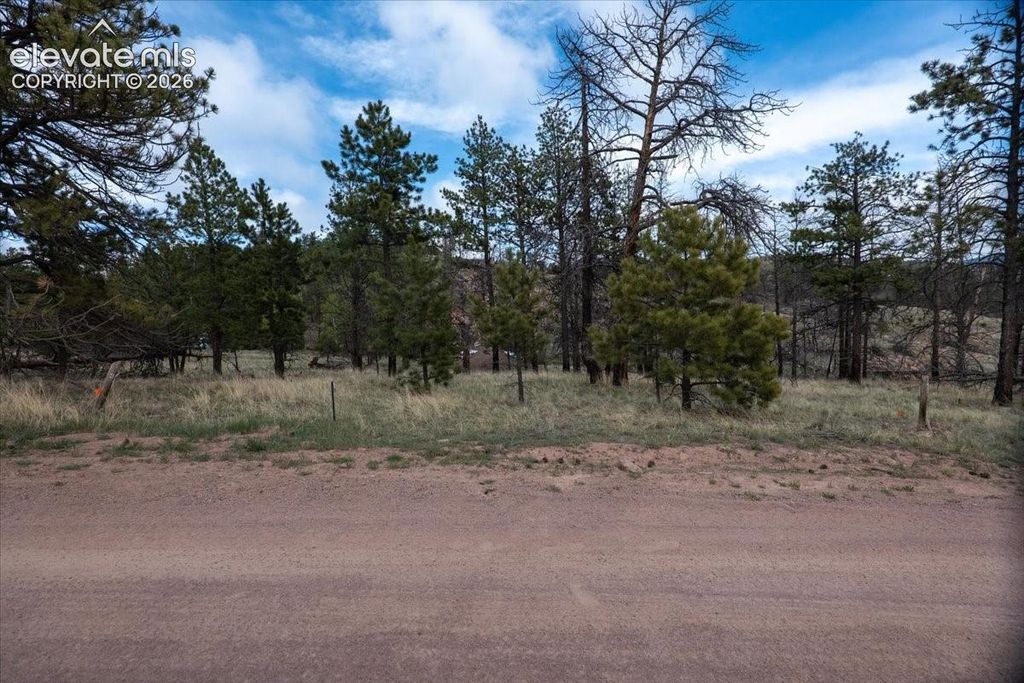 144 Chapparal Trail, Florissant, CO 80816 — photo 3