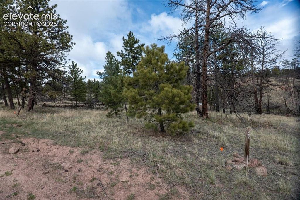 144 Chapparal Trail, Florissant, CO 80816 — photo 4