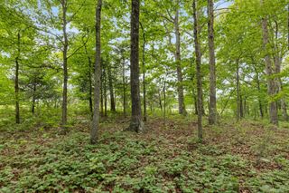 0 Old Number One Rd, Dickson, TN 37055