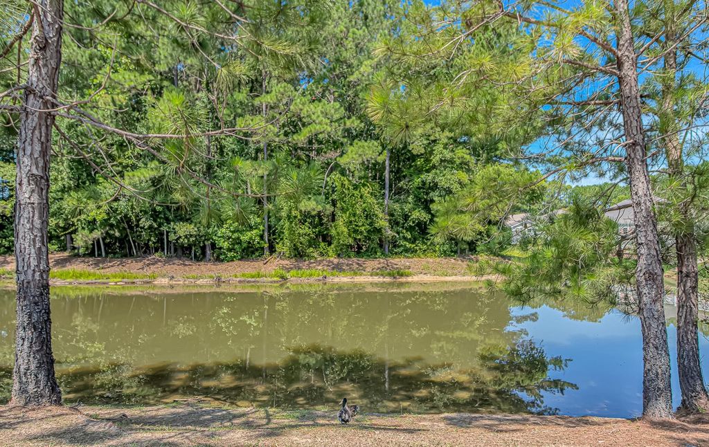 1010 Napa Ct., Longs, SC 29568 — photo 2