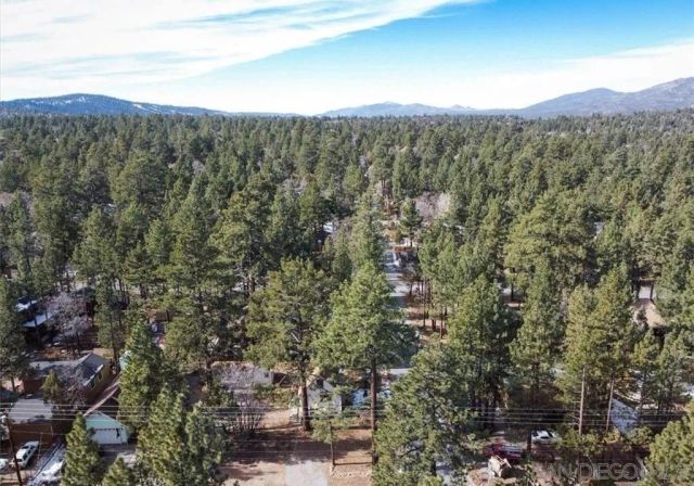 298 Maple, Sugarloaf, CA 92386
