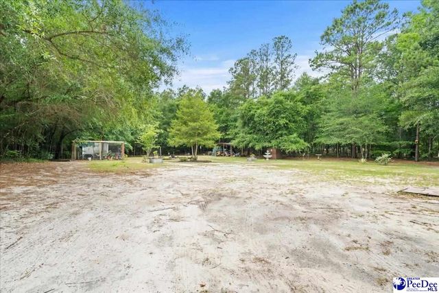 7725 Friendfield Rd., Effingham, SC 29541