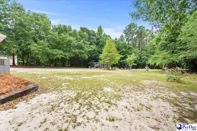 7725 Friendfield Rd., Effingham, SC 29541