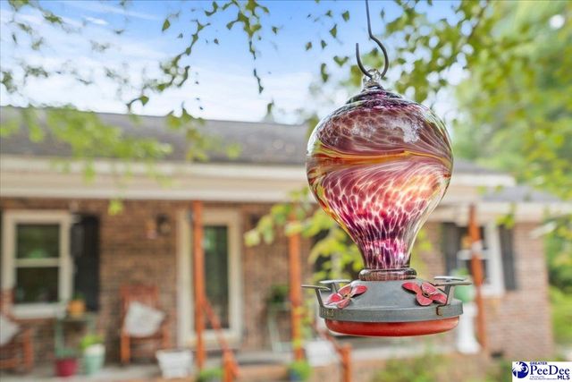 7725 Friendfield Rd., Effingham, SC 29541