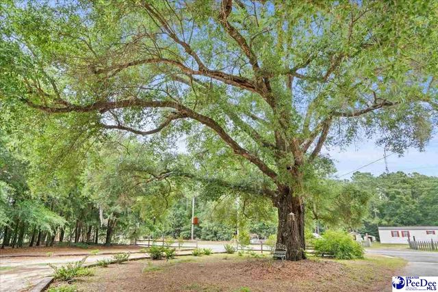 7725 Friendfield Rd., Effingham, SC 29541