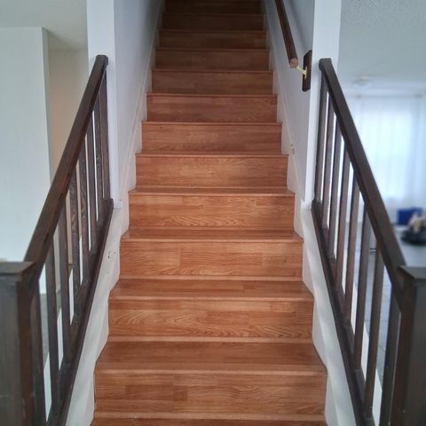 15423 Wood Sorrel, San Antonio, TX 78247