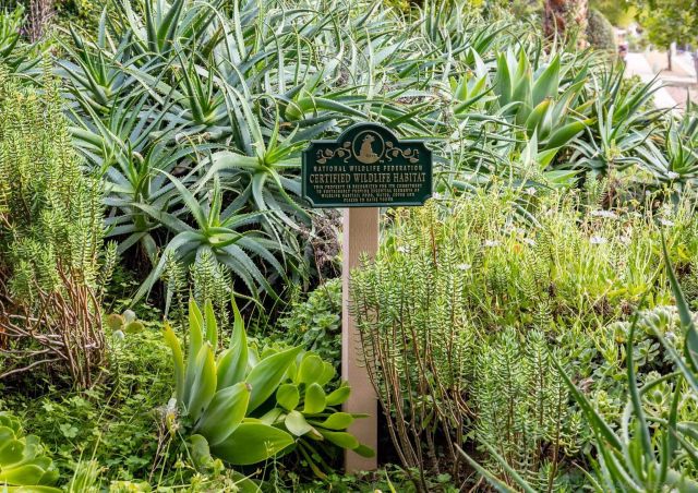 1014 E Bel Air Drive, Vista, CA 92084