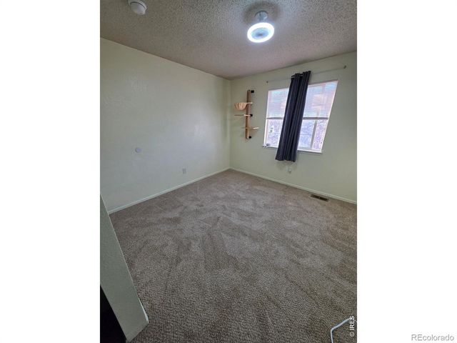 5241 E 128th Way, Thornton, CO 80241
