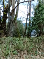 111 E Crest Place, Hat Island, WA 98206