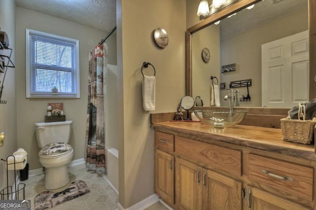 729 Matrix Lane, Ellijay, GA 30540