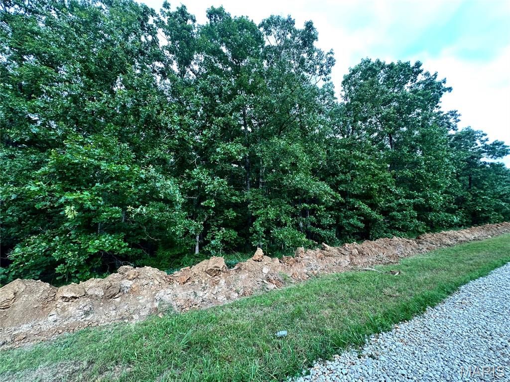 000 Co Rd 4180 Lot 9, Salem, MO 65560