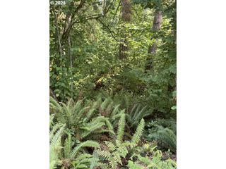 339th St, La Center, WA 98629