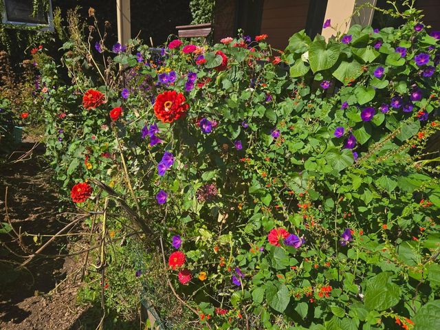 4541 Harriet Avenue, Minneapolis, MN 55419